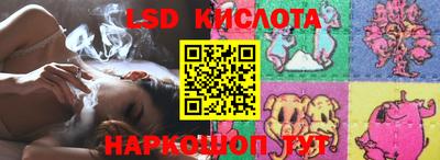 индика Обнинск