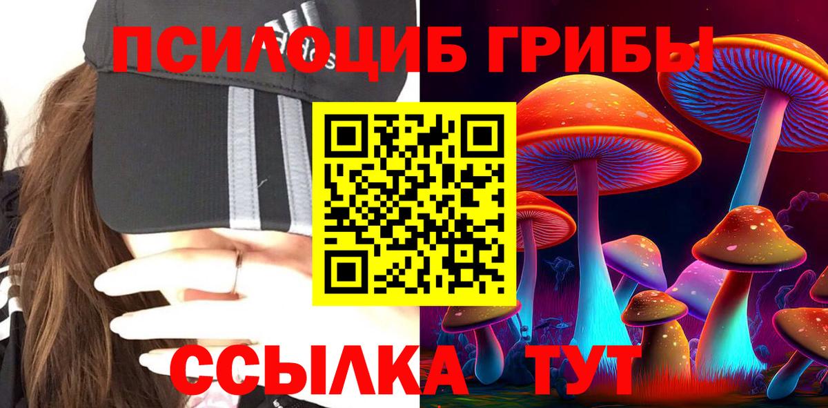 Туапсе  Псилоцибиновые грибы MAGIC MUSHROOMS  Вход с VPN 